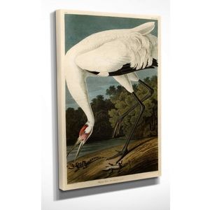 “Hooping Crane” Wall Art on Wrapped Canvas